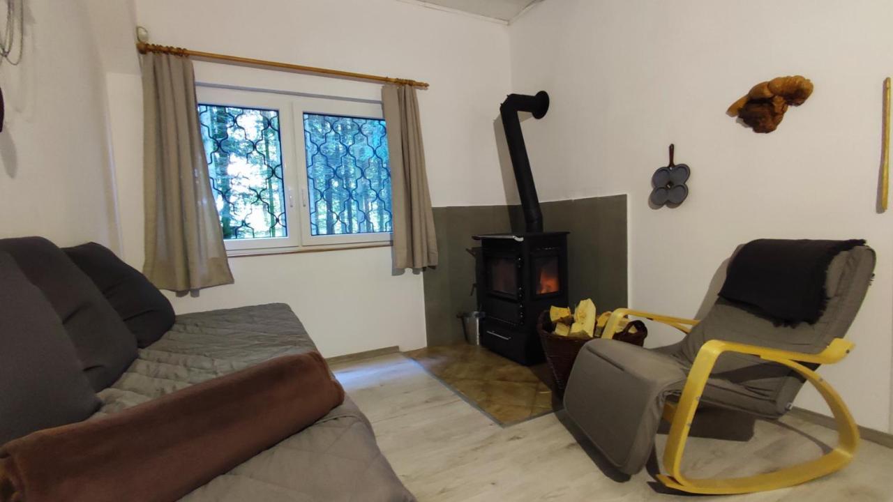Na Samote U Lesa Holiday home *