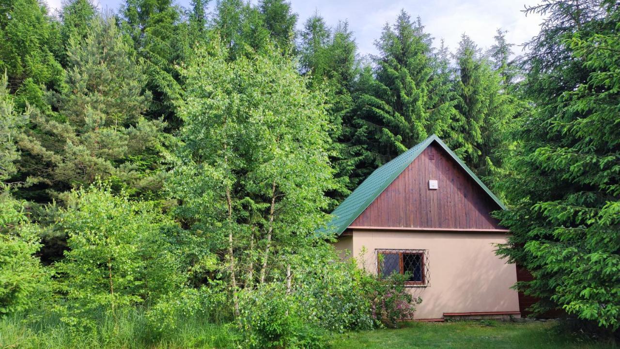 Holiday home Na Samote U Lesa *