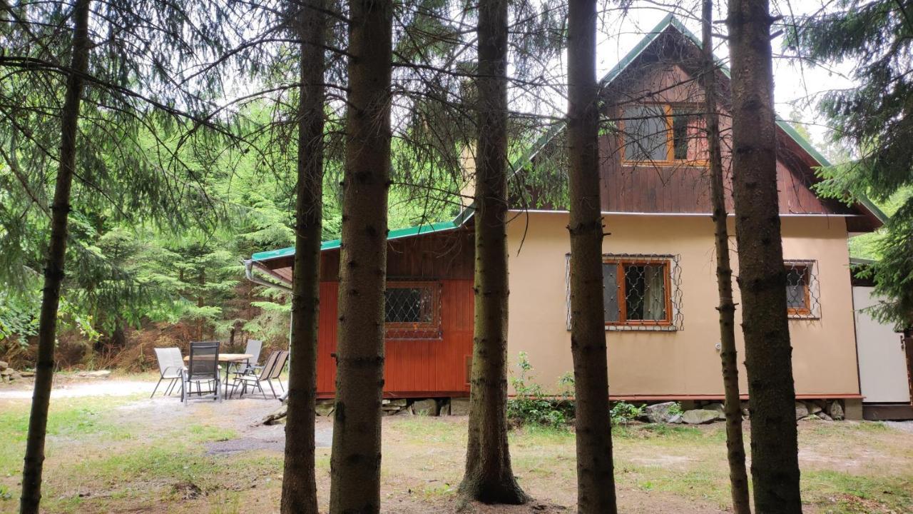 Holiday home Na Samote U Lesa