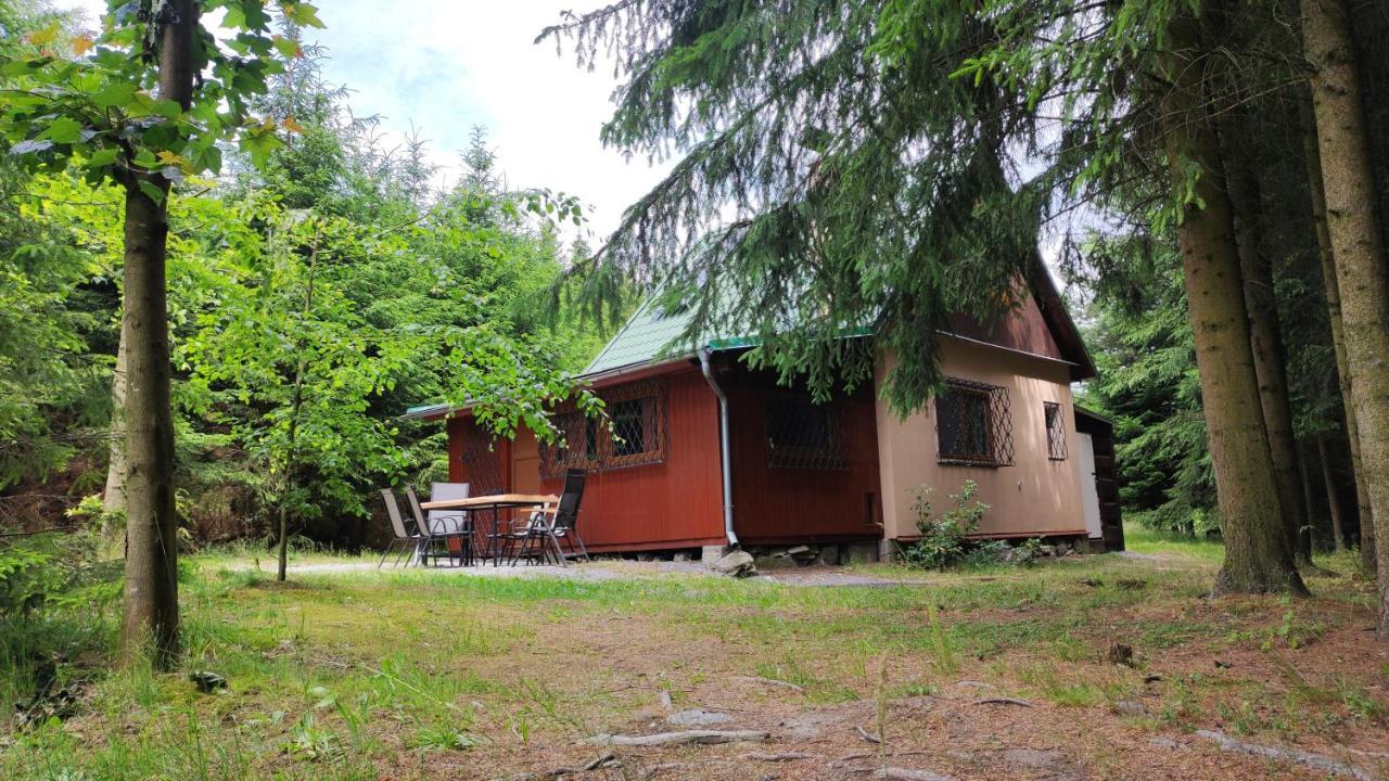 Na Samote U Lesa Holiday home